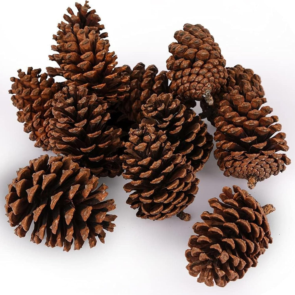 3.5-5Inch Natural Pine Cones Crafts, Natural Pinecone Ornaments Vase Fillers for Autumn and Winter Christmas Decorations