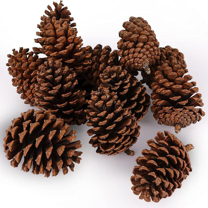 3.5-5Inch Natural Pine Cones Crafts, Natural Pinecone Ornaments Vase Fillers for Autumn and Winter Christmas Decorations