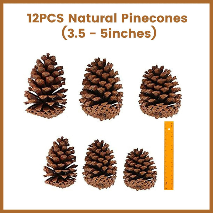 3.5-5Inch Natural Pine Cones Crafts, Natural Pinecone Ornaments Vase Fillers for Autumn and Winter Christmas Decorations