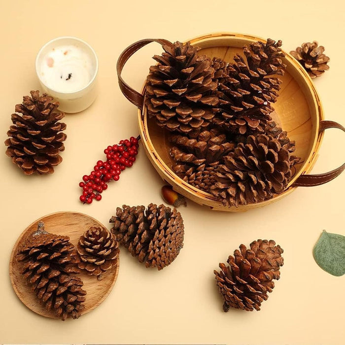 3.5-5Inch Natural Pine Cones Crafts, Natural Pinecone Ornaments Vase Fillers for Autumn and Winter Christmas Decorations